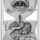 Illustration for article titled Your Body, the Machine... Literally